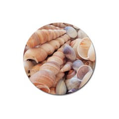 Seashells 3000 4000 Magnet 3  (round) by yoursparklingshop