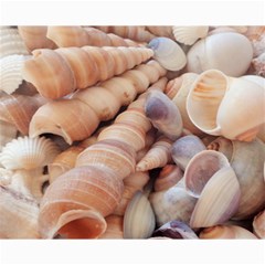 Seashells 3000 4000 Canvas 16  X 20  (unframed) by yoursparklingshop