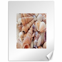 Seashells 3000 4000 Canvas 36  X 48  (unframed) by yoursparklingshop