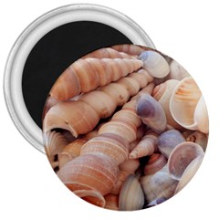 Sea Shells 3  Button Magnet by yoursparklingshop