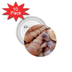 Sea Shells 1 75  Button (10 Pack)