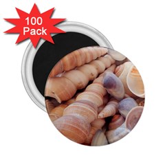 Sea Shells 2 25  Button Magnet (100 Pack) by yoursparklingshop