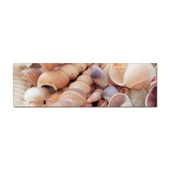 Sea Shells Bumper Sticker by yoursparklingshop