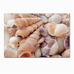 Sea Shells Postcard 4 x 6  (10 Pack) by yoursparklingshop