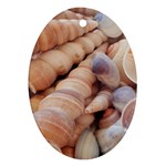Sea Shells Oval Ornament (Two Sides) Front