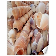 Sea Shells Canvas 18  X 24  (unframed) by yoursparklingshop