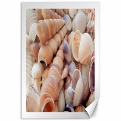 Sea Shells Canvas 24  X 36  (unframed) by yoursparklingshop