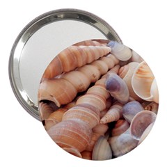 Sea Shells 3  Handbag Mirror by yoursparklingshop