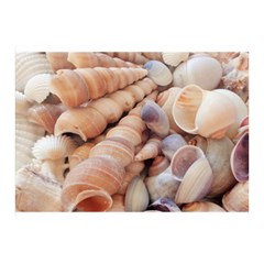 Sea Shells Double Sided Flano Blanket (mini) by yoursparklingshop