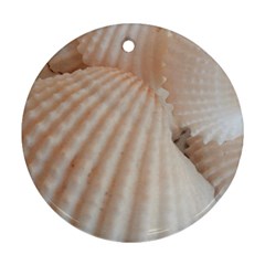 Sunny White Seashells Round Ornament