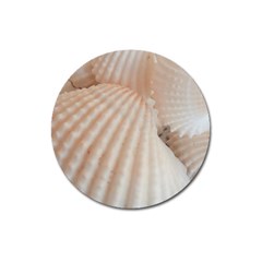 Sunny White Seashells Magnet 3  (round) by yoursparklingshop