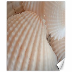 Sunny White Seashells Canvas 8  X 10  (unframed) by yoursparklingshop