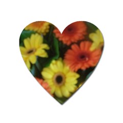 Orange Yellow Daisy Flowers Gerbera Magnet (heart)