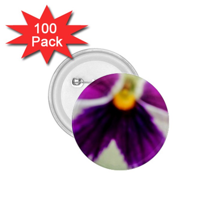 Inside Purple White Violet Flower 1.75  Button (100 pack)