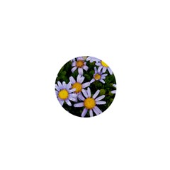 Yellow White Daisy Flowers 1  Mini Button