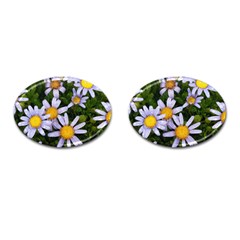 Yellow White Daisy Flowers Cufflinks (oval) by yoursparklingshop