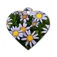 Yellow White Daisy Flowers Dog Tag Heart (one Sided) 