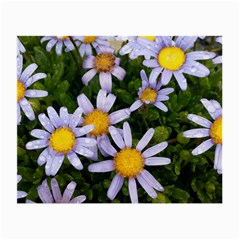 Yellow White Daisy Flowers Glasses Cloth (small, Two Sided)