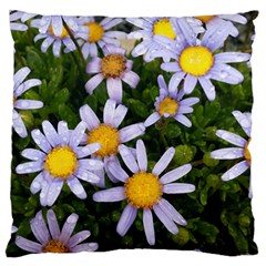 Yellow White Daisy Flowers Large Flano Cushion Case (one Side)