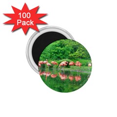 Flamingo Birds At Lake 1 75  Button Magnet (100 Pack)