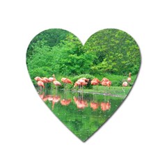 Flamingo Birds At Lake Magnet (heart)