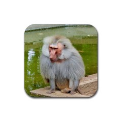 Grey Monkey Macaque Drink Coaster (square) by yoursparklingshop