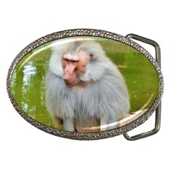 Grey Monkey Macaque Belt Buckle (oval) by yoursparklingshop