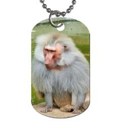 Grey Monkey Macaque Dog Tag (two-sided) 