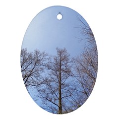 Large Trees In Sky Oval Ornament