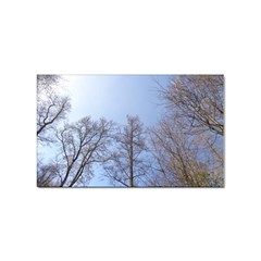 Large Trees In Sky Sticker (rectangle) by yoursparklingshop