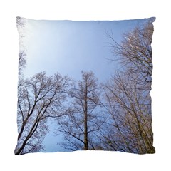 Large Trees In Sky Cushion Case (single Sided) 