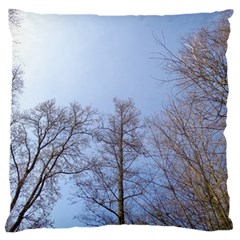 Large Trees In Sky Standard Flano Cushion Case (two Sides)