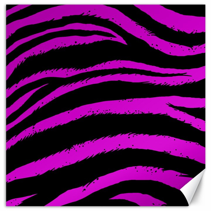 Pink Zebra Canvas 12  x 12  (Unframed)