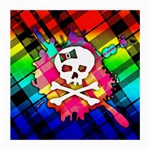 Rainbow Plaid Skull Glasses Cloth (Medium, Two Sided) Front