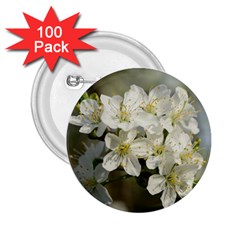 Spring Flowers 2 25  Button (100 Pack) by anstey