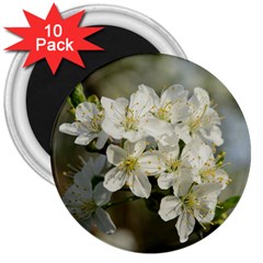 Spring Flowers 3  Button Magnet (10 Pack) by anstey