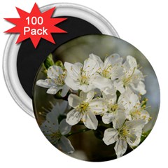 Spring Flowers 3  Button Magnet (100 Pack)