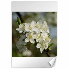 Spring Flowers Canvas 12  X 18  (unframed) by anstey