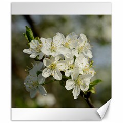 Spring Flowers Canvas 20  X 24  (unframed) by anstey