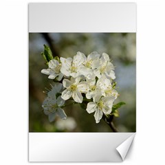 Spring Flowers Canvas 20  X 30  (unframed) by anstey