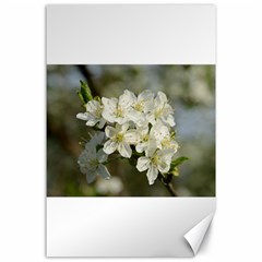 Spring Flowers Canvas 24  X 36  (unframed) by anstey