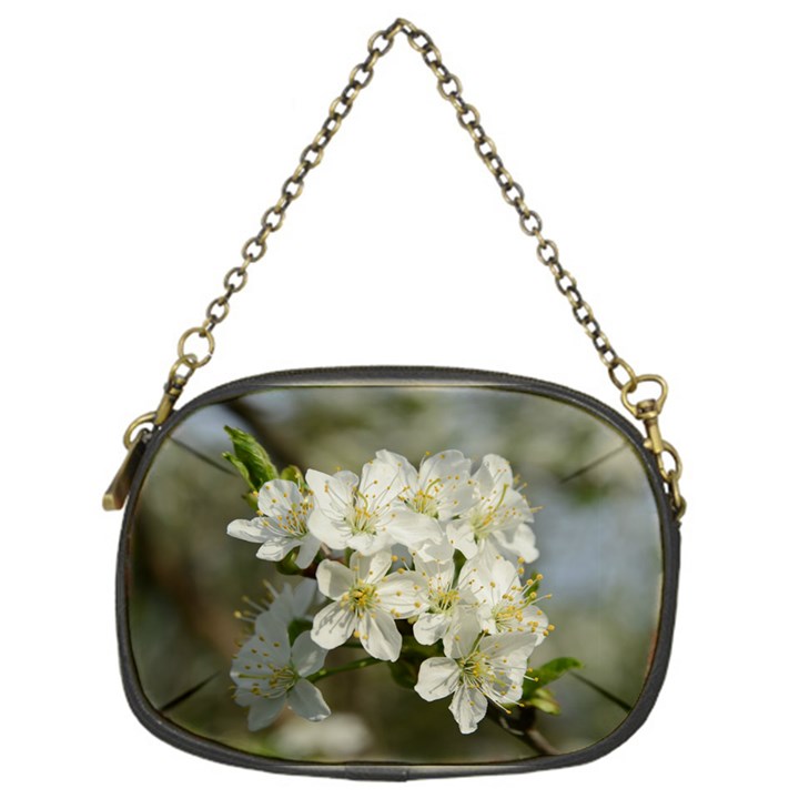 Spring Flowers Chain Purse (One Side)