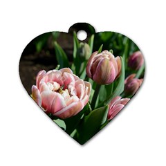 Tulips Dog Tag Heart (one Sided)  by anstey