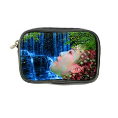 Fountain Of Youth Coin Purse