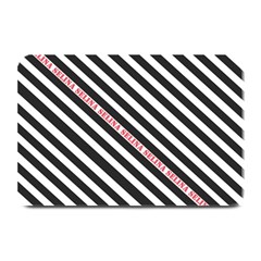 Selina Zebra Plate Mats