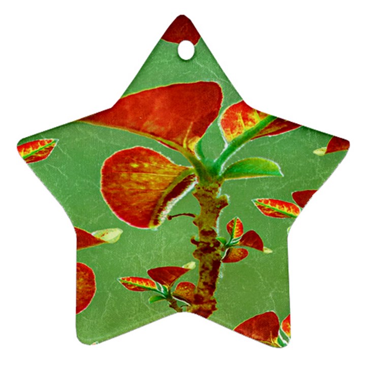 Tropical Floral Print Ornament (Star) 