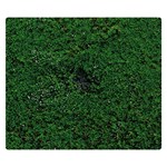 Green Moss Double Sided Flano Blanket (Small)  50 x40  Blanket Front
