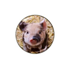 Sweet Piglet Hat Clip Ball Marker