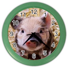 Sweet Piglet Color Wall Clocks