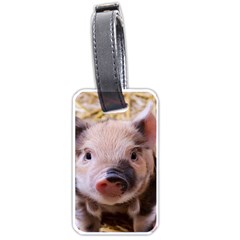 Sweet Piglet Luggage Tags (one Side)  by ImpressiveMoments